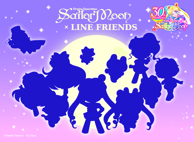 sylwetki wojowniczek z aplikacji